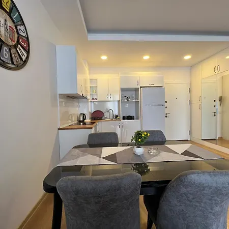 Apartment Cozy 1 1 Living Istanbul
