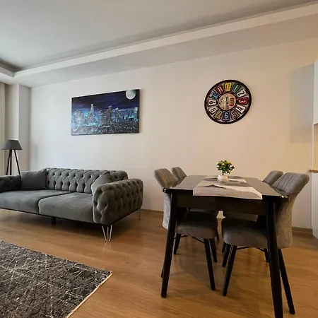 Cozy 1 1 Living Apartment Istanbul