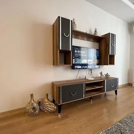 Appartement Cozy 1 1 Living Istanboel