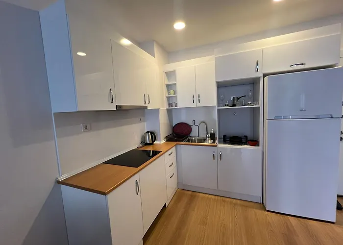 Cozy 1 1 Living 伊斯坦布尔