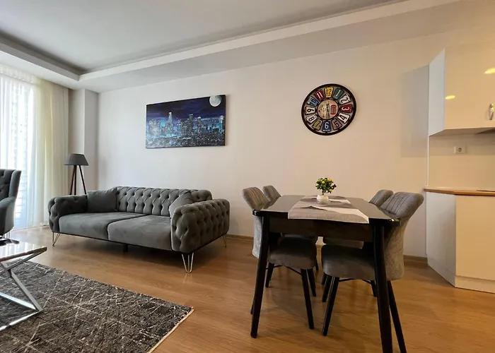 Cozy 1 1 Living 公寓 伊斯坦布尔